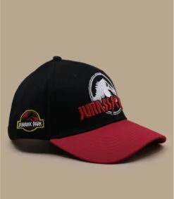 Casquette Jurassic Park Rock -Stetsoni Magasin casquette jurassic park rock 1